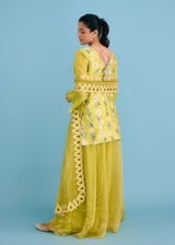 SERENA SHARARA SET - OLIVE YELLOW
