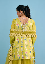 SERENA SHARARA SET - OLIVE YELLOW