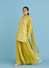 SERENA SHARARA SET - OLIVE YELLOW