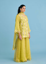 SERENA SHARARA SET - OLIVE YELLOW