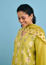 SERENA SHARARA SET - OLIVE YELLOW