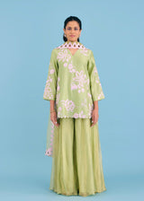 Manat lamba in our NELLI SHARARA SET - PISTA GREEN