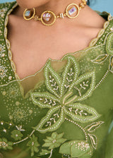 NELLI SAREE BLOUSE SET - OLIVE GREEN