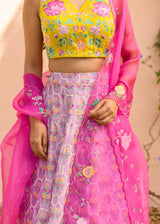 Freya Trellis Lehenga Set - Multi Coloured