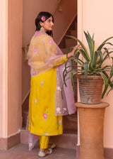 Freya Panelled Kurta Set - Mustard Yellow