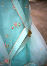 Chidiya Saree Blouse Set - Aqua Blue