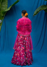 Bahaar Lehenga Bahaar Blouse Set - Burgundy