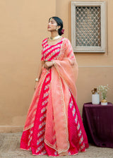 Tircha Panelled Lehenga Set - Red