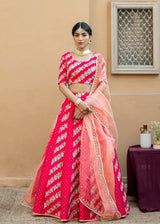 Tircha Panelled Lehenga Set - Red