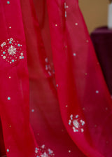 Summiyya from House of Misu in our Red Bootah Saree Blouse Set