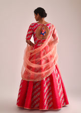 Tircha Panelled Lehenga Set - Red