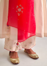 Dhaari Anarkali Set - Red