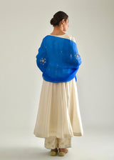 Dhaari Anarkali Set - Cobalt Blue