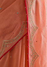 Badra Saree Tircha Blouse Set - Salmon Peach