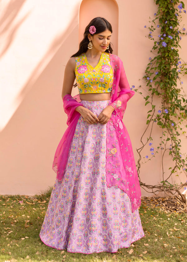 Freya Trellis Lehenga Set - Multi Coloured