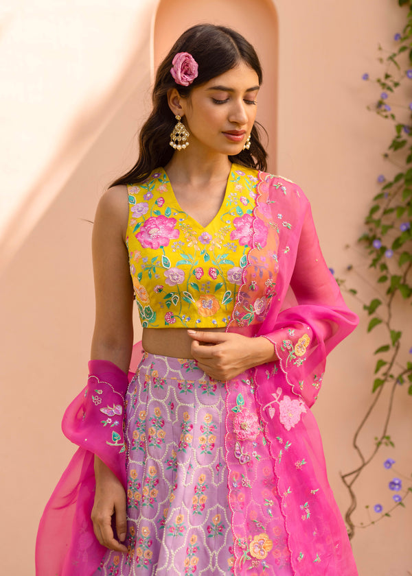 Freya Trellis Lehenga Set - Multi Coloured