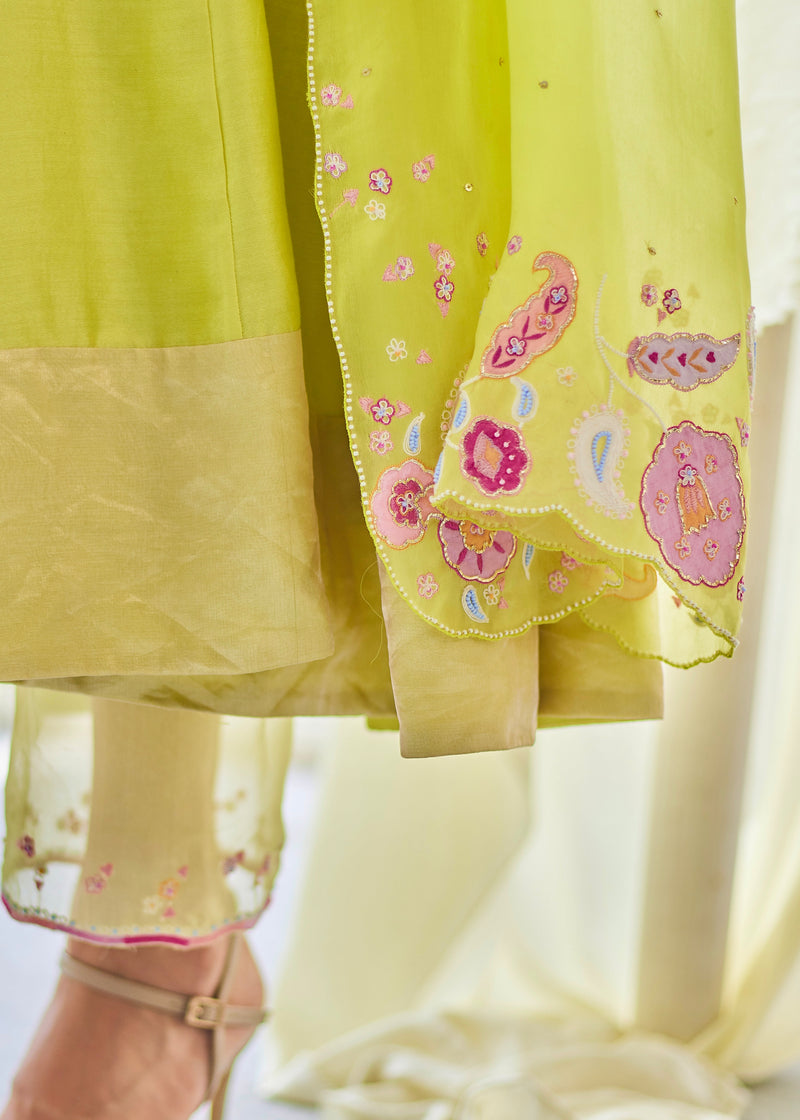 AELIA ANARKALI SET - PEAR GREEN