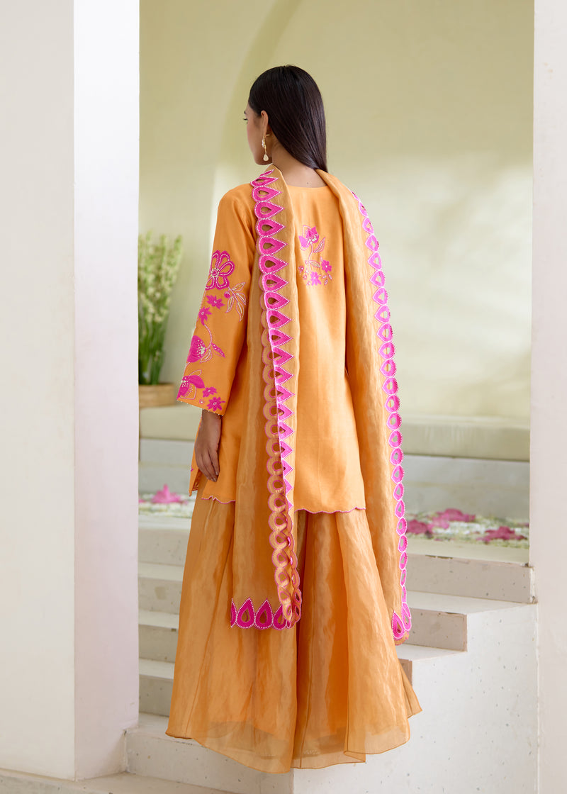 NELLI SHARARA SET-TANGERINE ORANGE