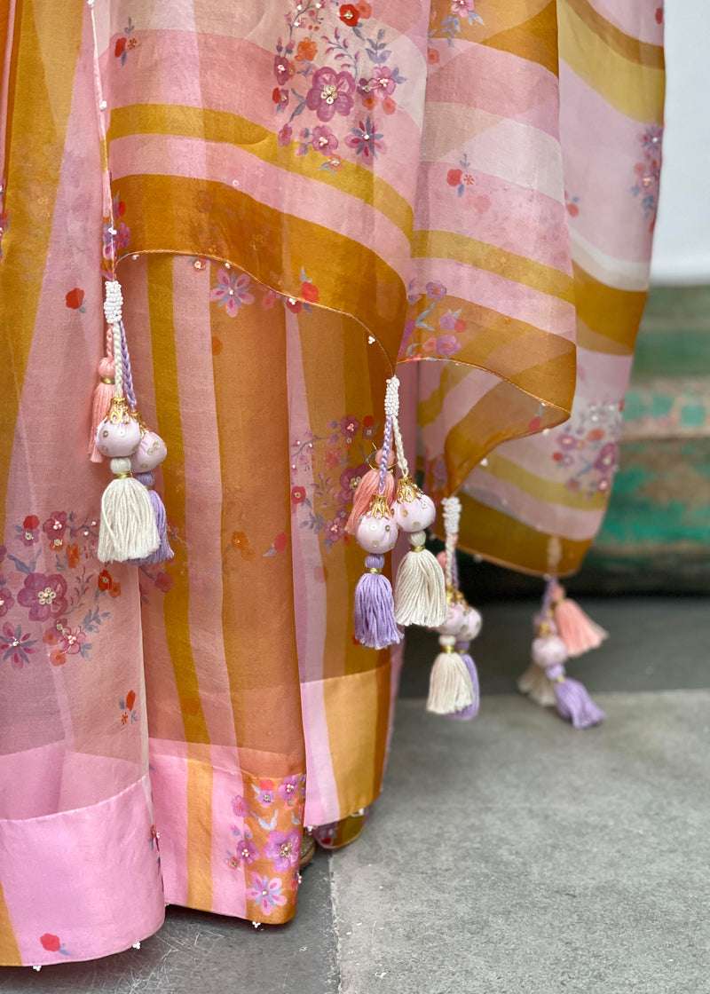 Stripe Saree Blouse Set - Multicolour