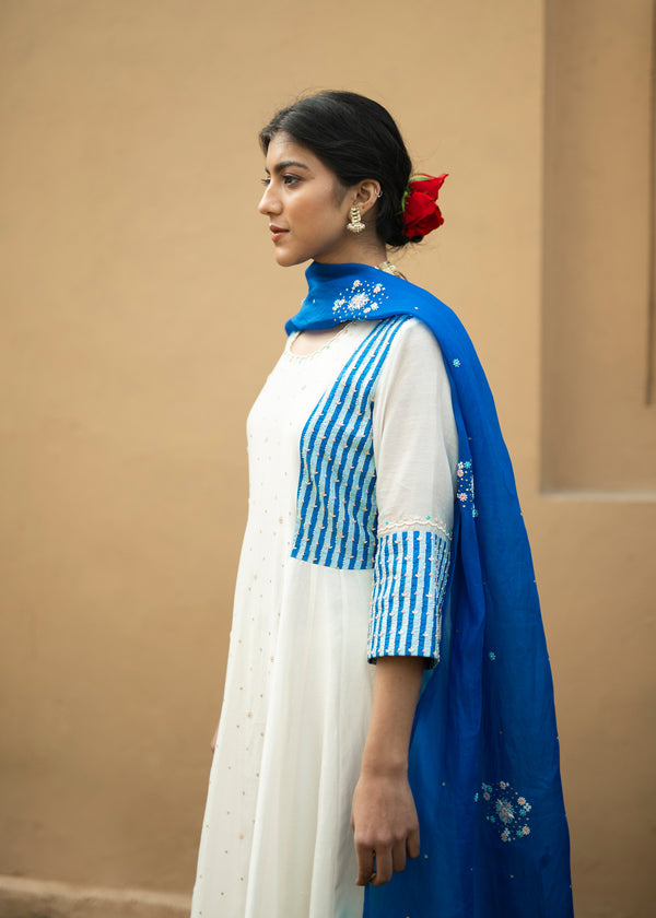 Dhaari Anarkali Set - Cobalt Blue