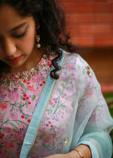 Chidiya Saree - Aqua Blue
