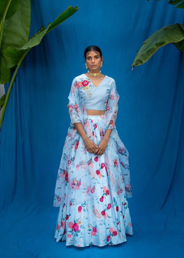 Bahaar Lehenga Ruhi Blouse Set - Powder Blue
