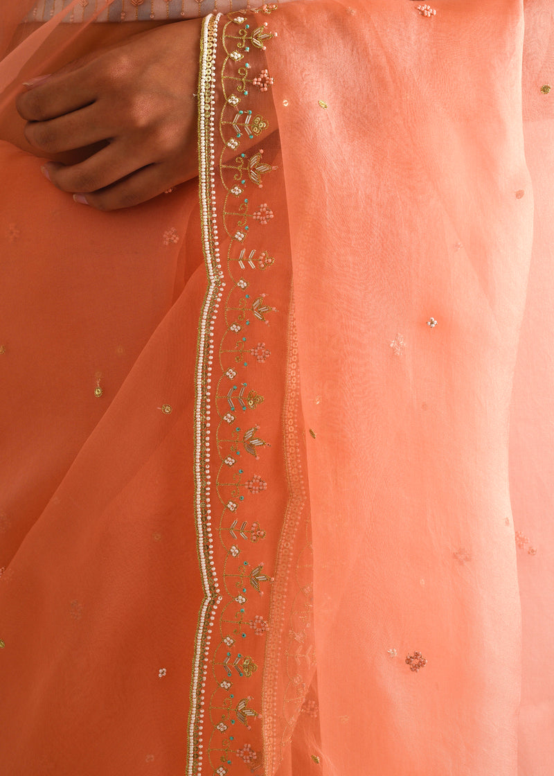 Kanguri Scallop Saree - Salmon Peach