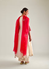 Dhaari Anarkali Set - Red