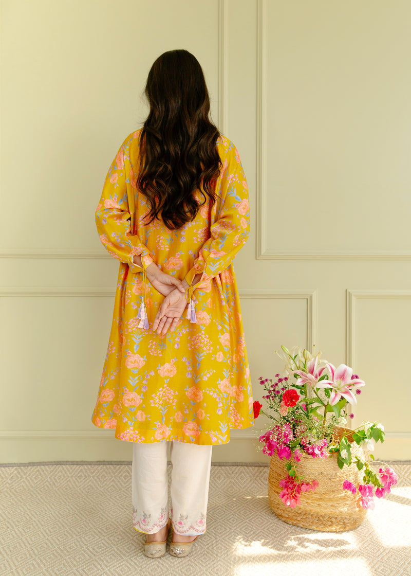 Golden Brown Kurta with Pants & Red Brocade Dupatta at Rs 1682 | Women Kurta,  महिलाओ का कुर्ता, लेडीज़ कुर्ता - Zen Meraki (OPC) Private Limited, Wayanad  | ID: 26128173991