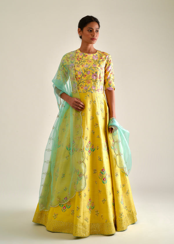 Gulaab Anarkali Set - Yellow