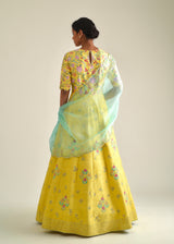 Gulaab Anarkali Set - Yellow